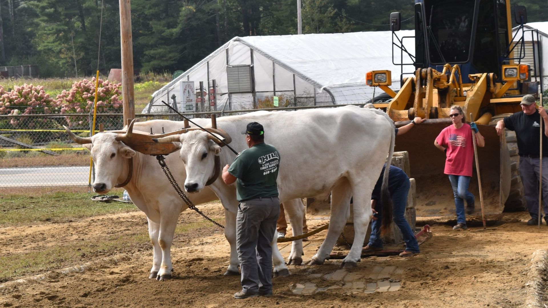 Deerfield Fair