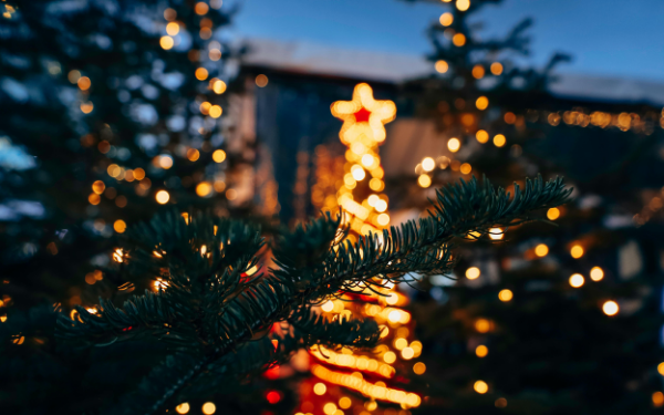 Wells Festival of Trees (3)