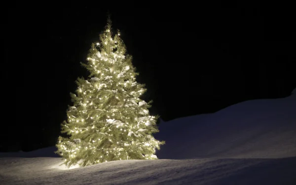 Hampton Tree Lighting (1)
