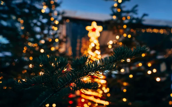 Wells Festival of Trees (3)